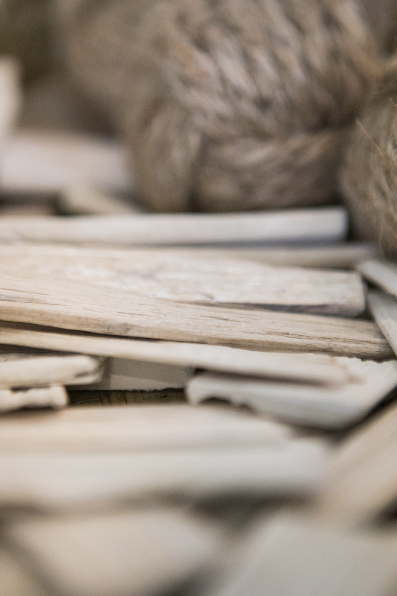 Closeup detail of wood textures